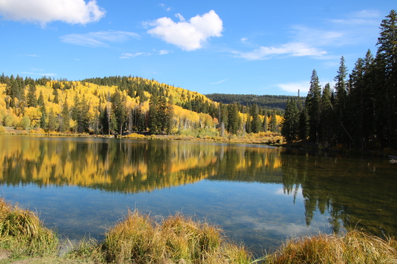 Grand Mesa National Forest