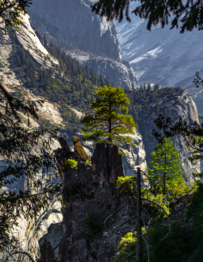 Yosemite National Park