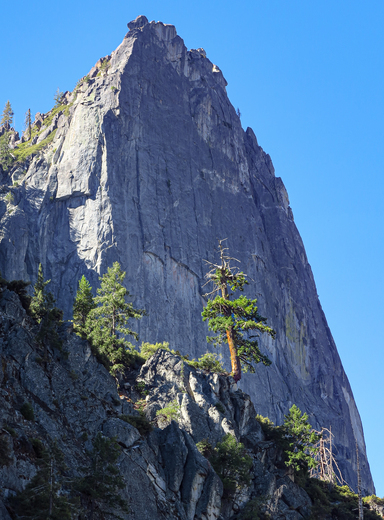Yosemite National Park
