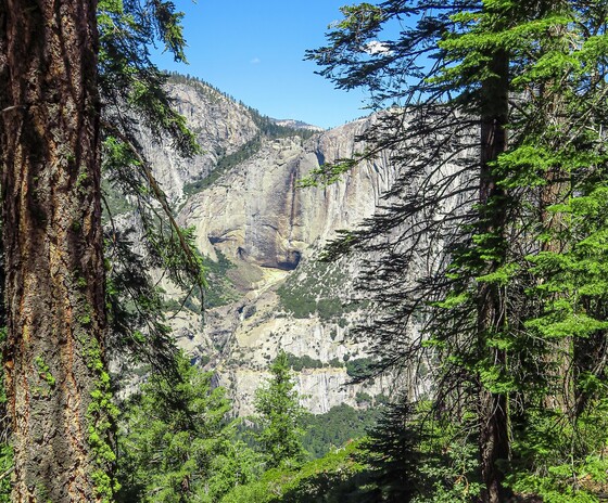 Yosemite National Park