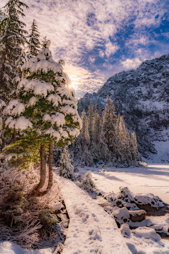 Mount Baker Snoqualmie National Forest