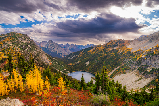 Okanogan-Wenatchee National Forest