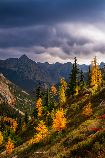 Okanogan-Wenatchee National Forest
