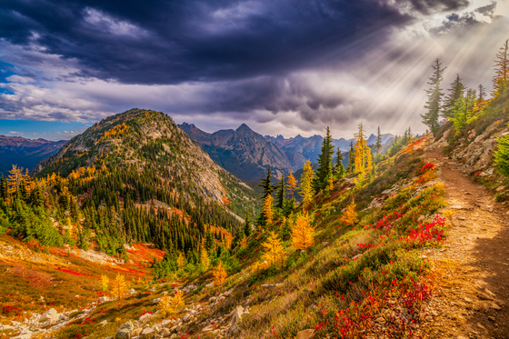 Okanogan-Wenatchee National Forest