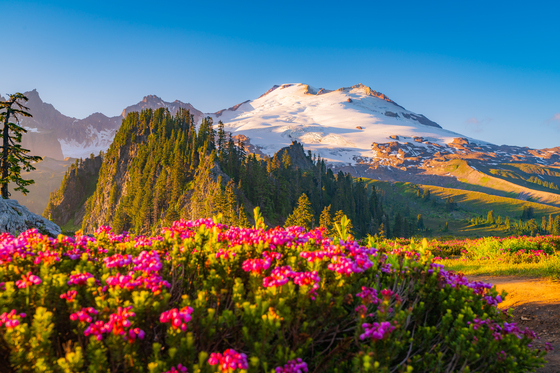Mount Baker Snoqualmie National Forest