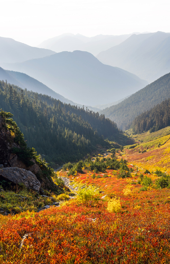 Mount Baker-Snoqualmie National Forest