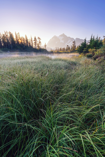 Mount Baker-Snoqualmie National Forest