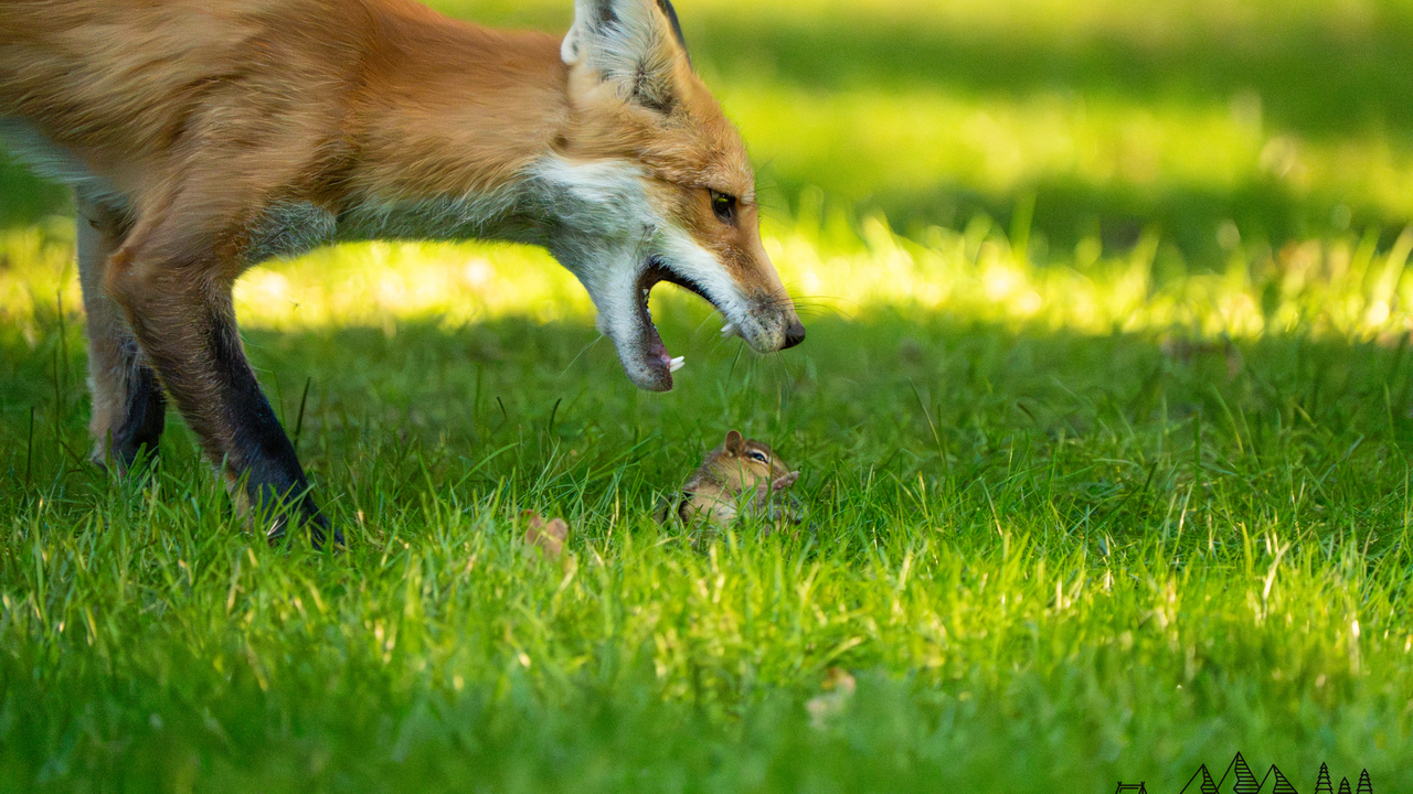 "Don't play with your food"