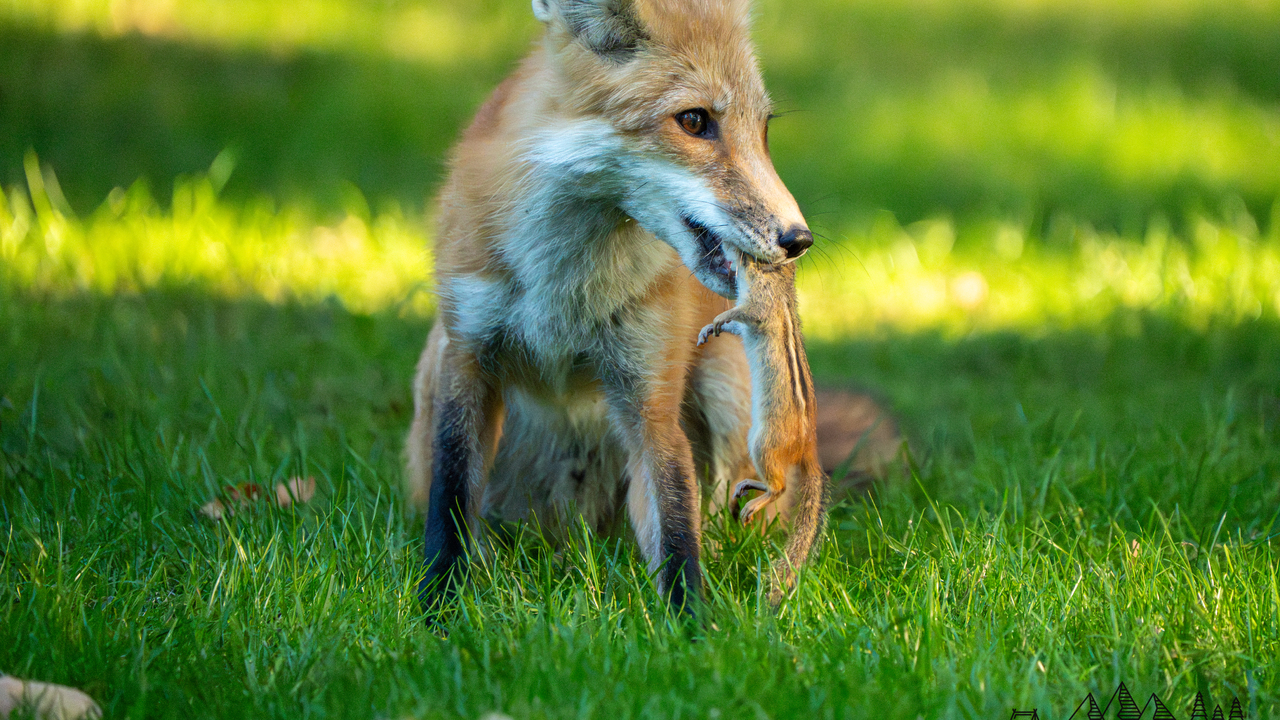 "Don't play with your food"