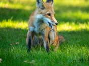 "Don't play with your food"