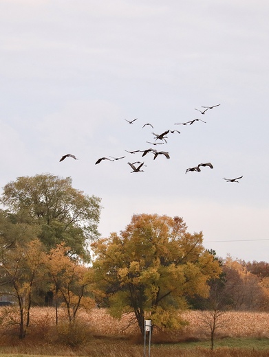 Sherburne National Wildlife Refuge