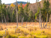 Quebec Autumn scenes