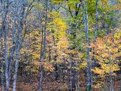 Quebec Autumn scenes
