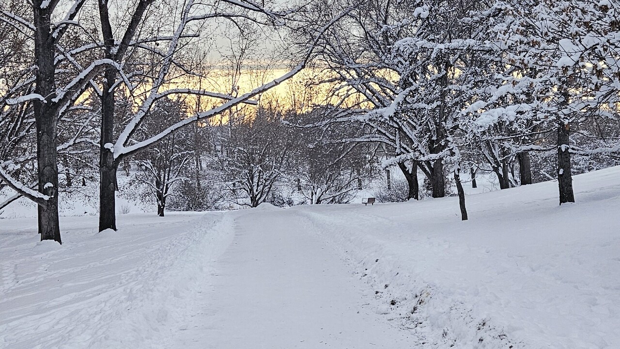 Later Afternoon Winter Scene