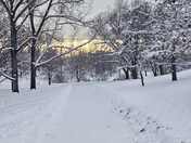 Later Afternoon Winter Scene