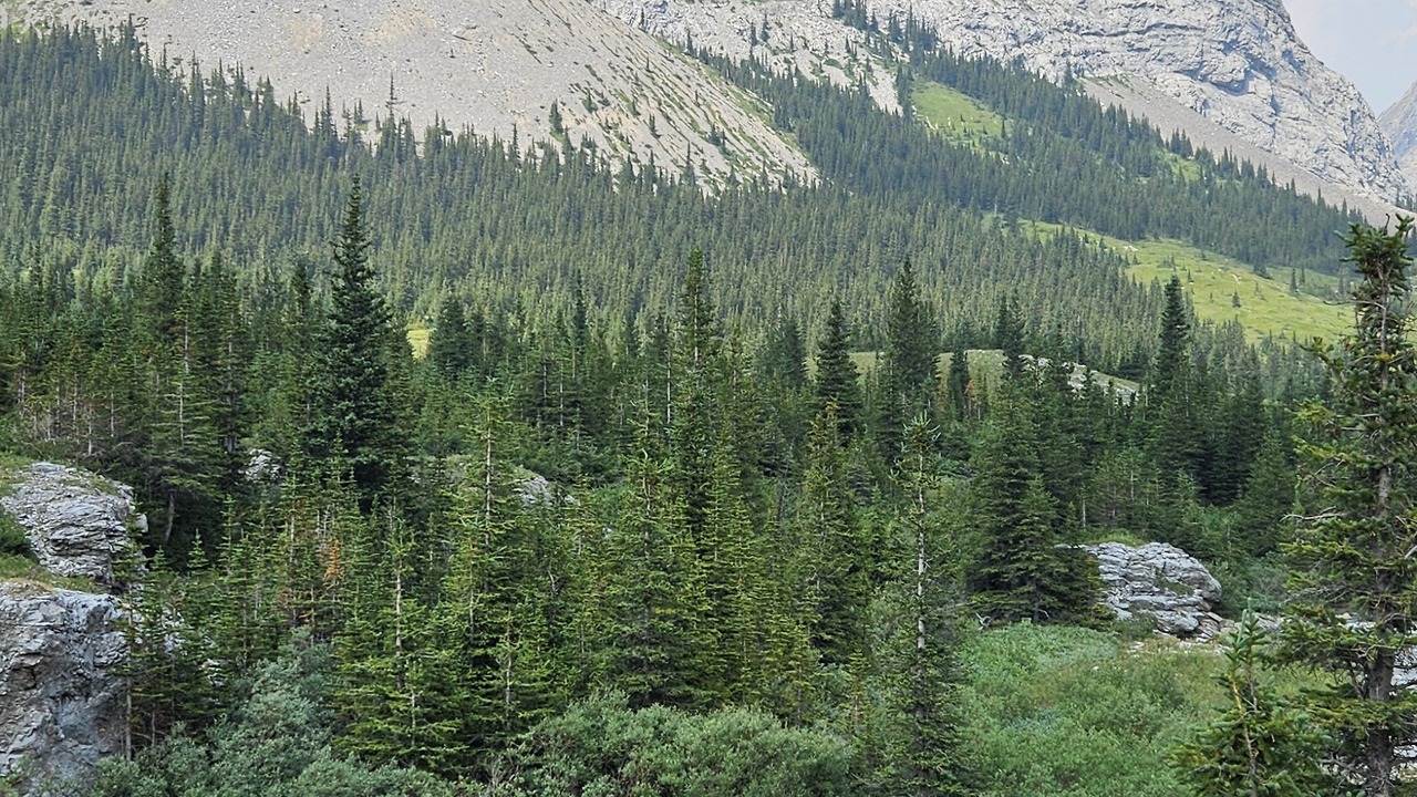 Elbow Pass Peter Lougheed