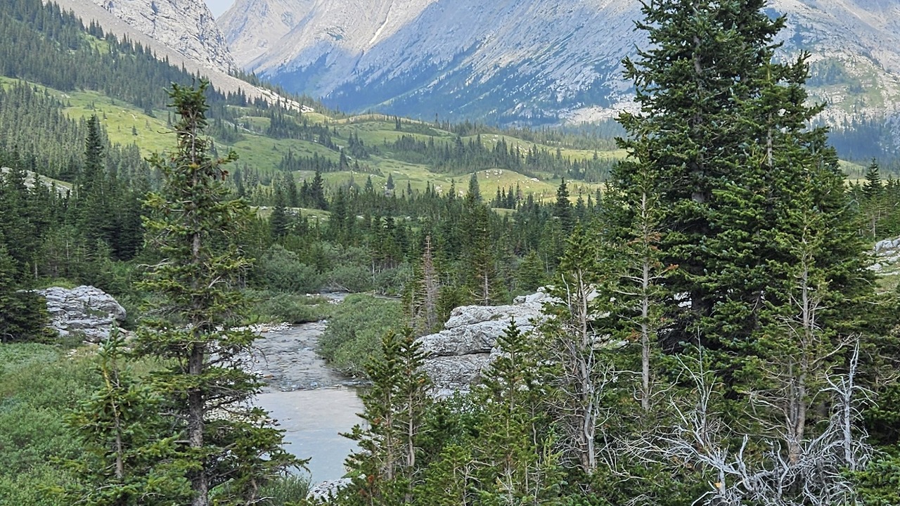 Elbow Pass Peter Lougheed
