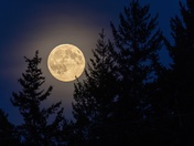 Full Moon Rising