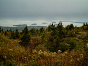 Acadia National Park