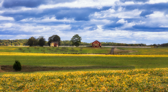 Gettysburg National Military Park