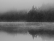 Northern Vancouver Island Landscapes 