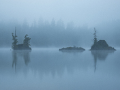 Northern Vancouver Island Landscapes 