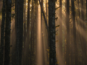 Northern Vancouver Island Landscapes 