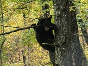 Great Smoky Mountains National Park