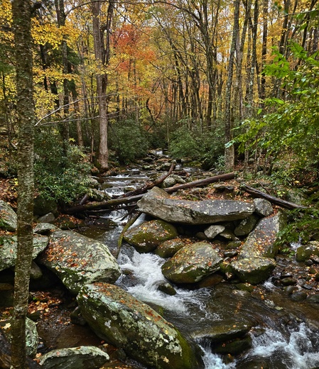 Great Smoky Mountains National Park