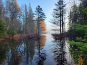 Return from beluga hunting Nunavik