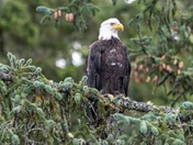 Sitting high and proud