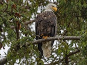 Sitting high and proud