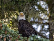 Sitting high and proud