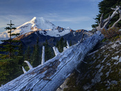 Mount Baker-Snoqualmie National Forest
