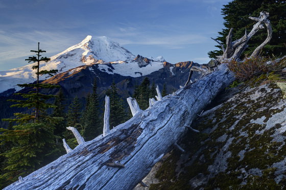 Mount Baker-Snoqualmie National Forest