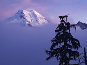 Mount Baker-Snoqualmie National Forest