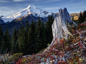 Mount Baker-Snoqualmie National Forest