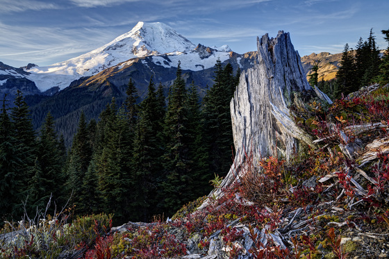 Mount Baker-Snoqualmie National Forest