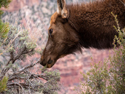 Grand Canyon National Park