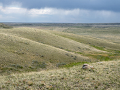 Grasslands Trail