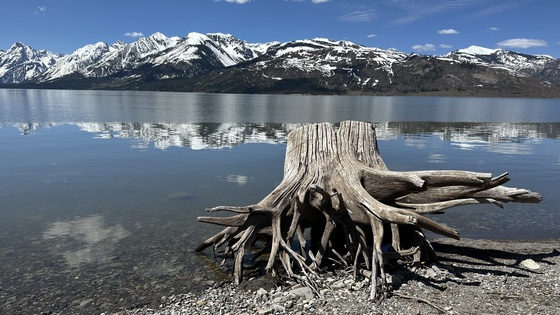 Grand Teton National Park