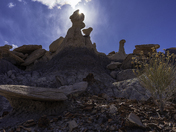 Petrified Forest National Park