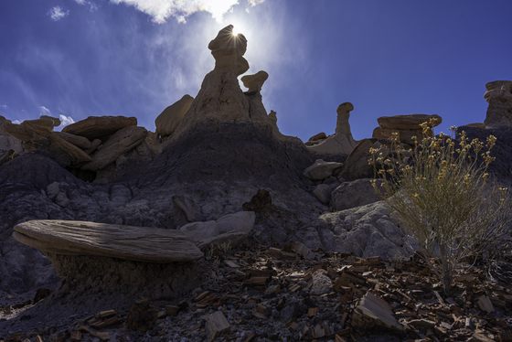 Petrified Forest National Park