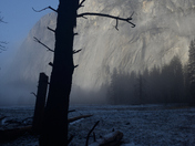 Yosemite National Park