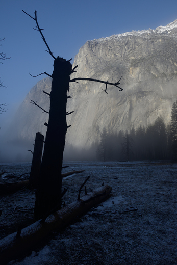 Yosemite National Park