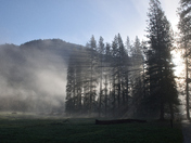 Yosemite National Park