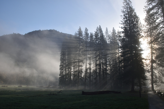 Yosemite National Park