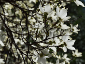 Yosemite National Park