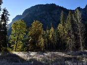 Yosemite National Park