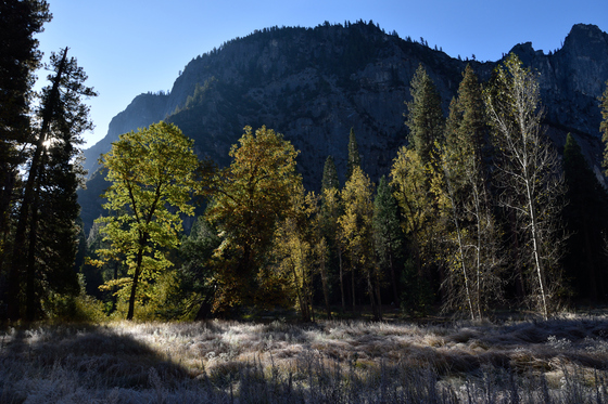 Yosemite National Park